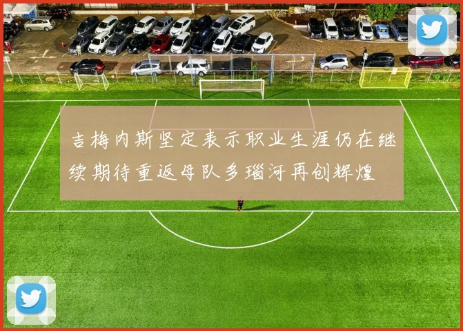吉梅内斯坚定表示职业生涯仍在继续期待重返母队多瑙河再创辉煌