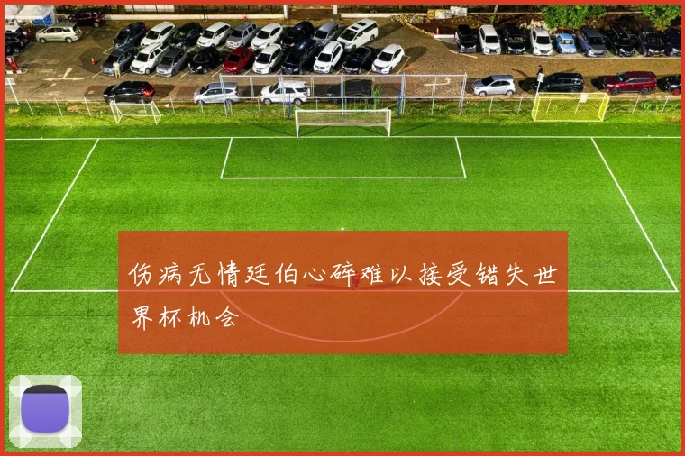 伤病无情廷伯心碎难以接受错失世界杯机会