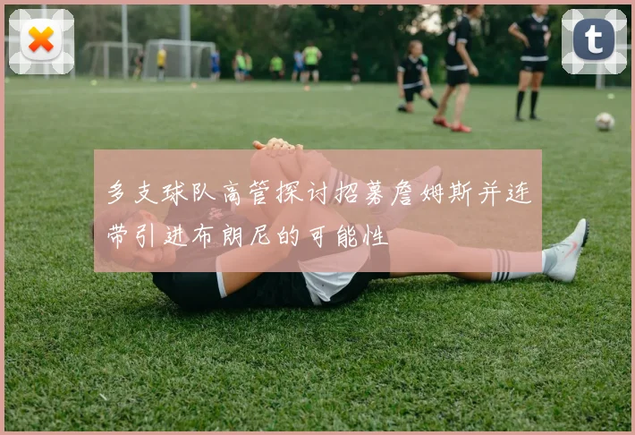 多支球队高管探讨招募詹姆斯并连带引进布朗尼的可能性